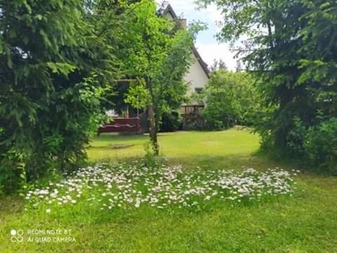 Apartament Lesny Supraśl Εξωτερικό φωτογραφία